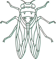 カラーシャドウ昆虫単品アイコン　蝉