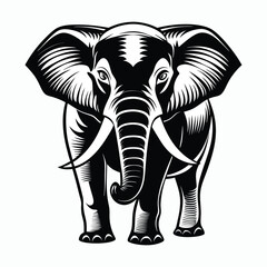 Fototapeta premium easy elephant vector