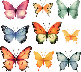 collection of butterflies