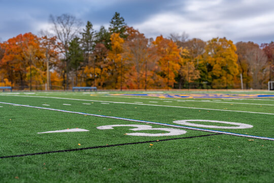 Synthetic turf football 30 yard line, block number, in white along with black lacrosse line.