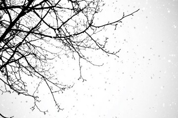 Obraz premium Winter Branches and Falling Snow - A Minimalist Scene of Nature