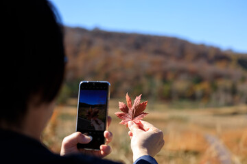紅葉　葉　スマートホンで撮影している女性　イメージ