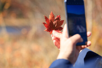紅葉　葉　スマートホンで撮影している女性　イメージ