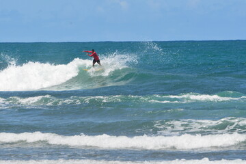 praia do forte bahia