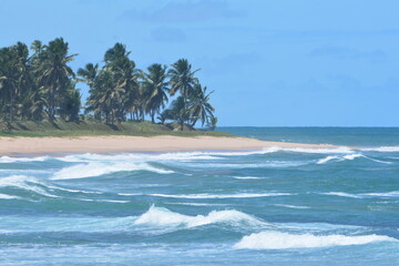 praia do forte bahia
