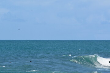 Obraz premium praia do forte bahia