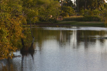 praia do forte - bahia
