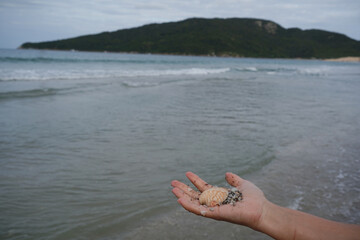 Mãos Areia e Conchas do Mar