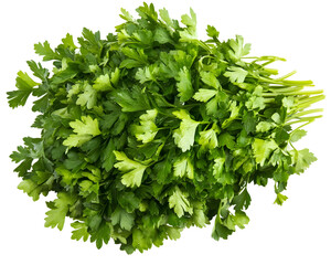 Obraz premium Fresh parsley with bright green leaves, Transparent PNG, clipping path