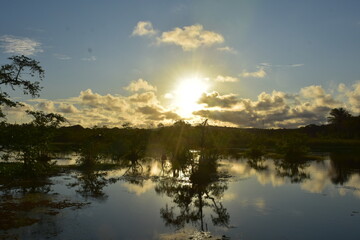 Obraz premium praia do forte - bahia