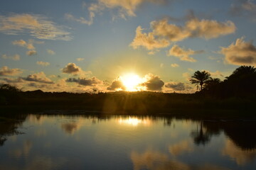 Fototapeta premium praia do forte - bahia