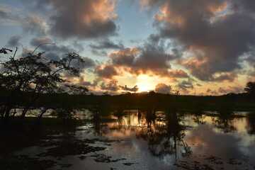 praia do forte - bahia