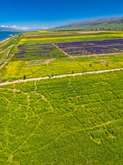 A scenic view of Qinghai Lake surrounded by snowy hills in China, aerial image