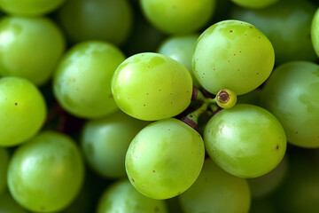 Fototapeta premium bunch of green grapes