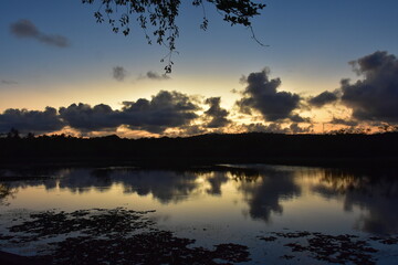 Obraz premium praia do forte - bahia