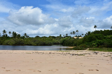 praia do forte - bahia