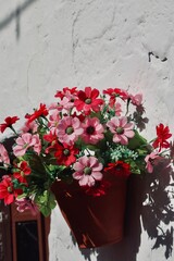 flower pot