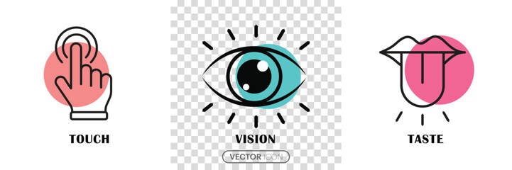 Human sense icons. three human senses icons. Vision, touch, taste, senses fillings. three fillings icon in trendy flat style isolated on transparent background. Vector Illustration.