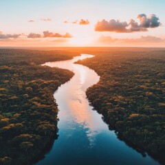 A winding river flows through a lush green forest with a bright sunset in the background.