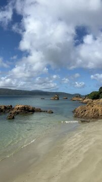 Coastline at Karaka Bay, Wellington, New Zealand vertical video