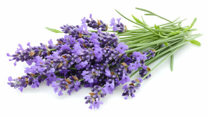 Nauture and Flower Background - A bouquet of fresh lavender flowers, showcasing their vibrant purple color and green stems.