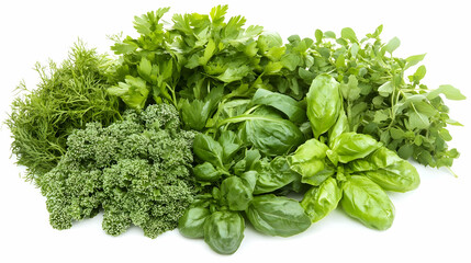 Fototapeta premium Nauture and Flower Background - A variety of fresh green herbs arranged for culinary use.