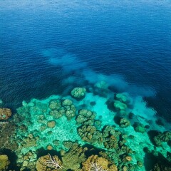 Obraz premium Aerial view showcasing a vibrant coral reef beneath clear blue ocean water, highlighting marine diversity and tropical coastal beauty.