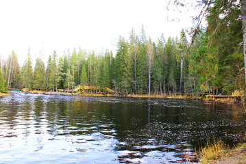 Beautiful view of lake in coniferous forest and rocky shore, wild nature, landscape.