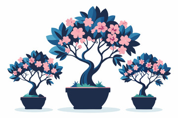 Azalea trees in pots isolated on a white background 