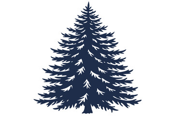 Obraz premium Evergreen pine tree isolated on white background