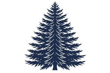 Obraz premium Evergreen pine tree isolated on white background