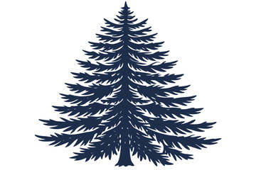 Evergreen pine tree isolated on white background