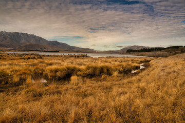 Tussock covered wetlands and  reeds and rushes at Lake Heron with mountains in the background