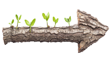 Arrow crafted from bark with fresh green sprouts growing along its length, representing growth, progress, and a natural direction, isolated on transparent.