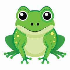 vector frog on white background