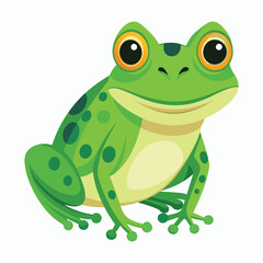 vector frog on white background