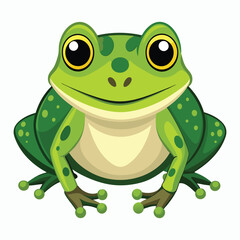 vector frog on white background