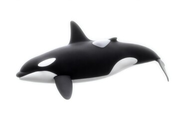Fototapeta premium dolphin isolated on white background