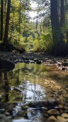 Tranquil Forest Stream Reflection - Nature Photography