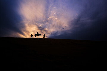 Fototapeta premium Silhouette of horse on the sunset