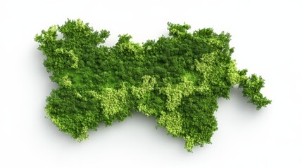 Obraz premium 3d map in green, a captivating fusion of cartography and nature's embrace experience