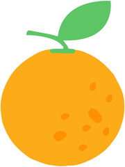 Orange fruit icon
