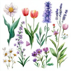 A vibrant collection of hand-painted flowers showcasing nature's beauty and diversity in watercolor art