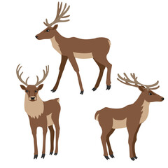 vector drawing animals, deers isolated at white background