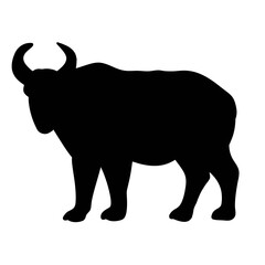 silhouette of a bull