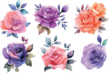 set of roses isolated
