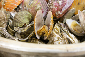 Korean Seafood Food. Steamed oysters and clams