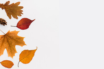 Autumn holiday frame composition with pattern made of leaf, punpkins, dried orange, pine cone on...