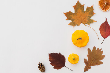 Autumn holiday frame composition with pattern made of leaf, punpkins, dried orange, pine cone on...