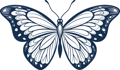 Black and white decorated butterfly on white background  Premium vector
